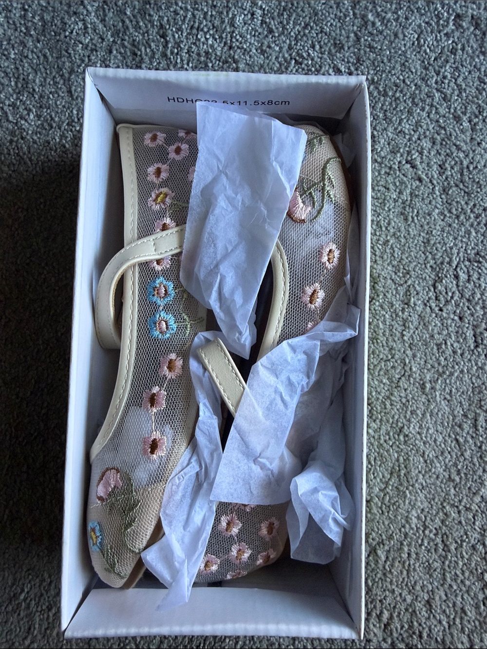 Girls Cream Floral Embroidered Mary Jane Dress Shoes